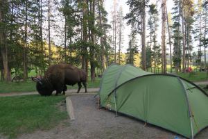 norris campground review