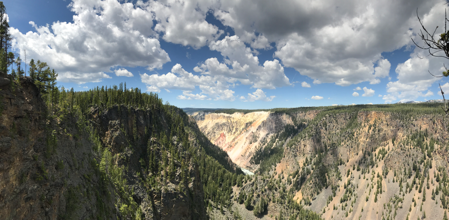 grandcanyonofyellowstone