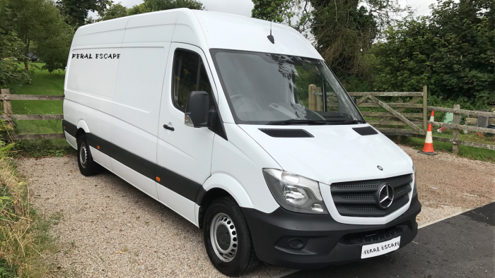 sandy the sprinter
